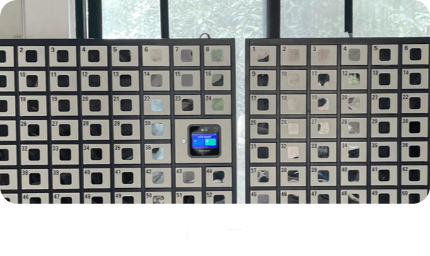 场景